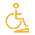 Disability Cover image