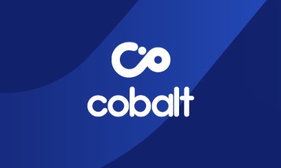 Look to Cobalt for defendant small claims handling icon